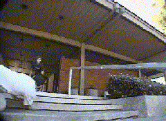 reynoldsflipnosesldg.gif